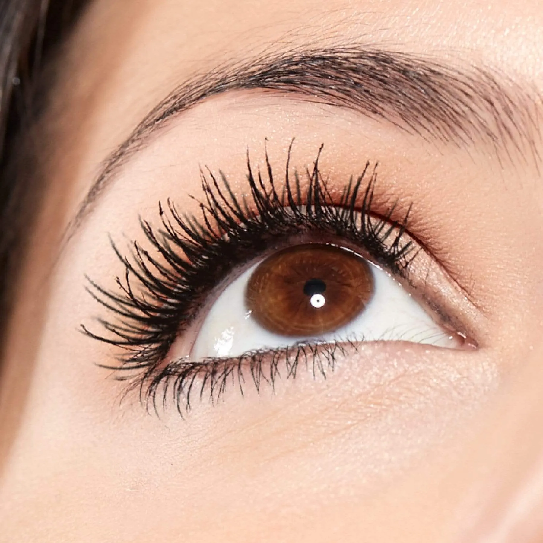 Lash Whip   4D Lash & Brow Serum Mini