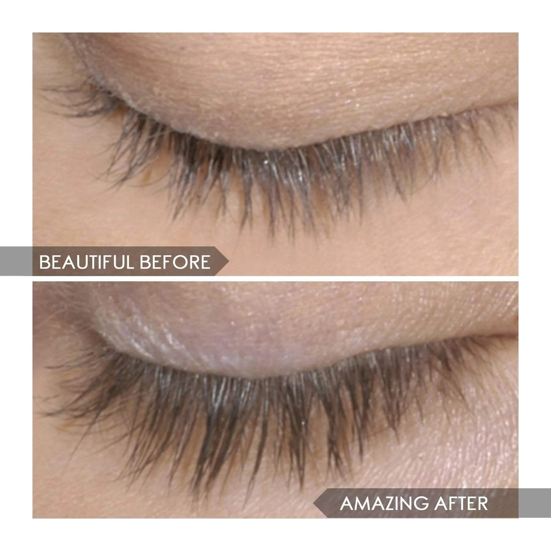 Lash Whip   4D Lash & Brow Serum Mini