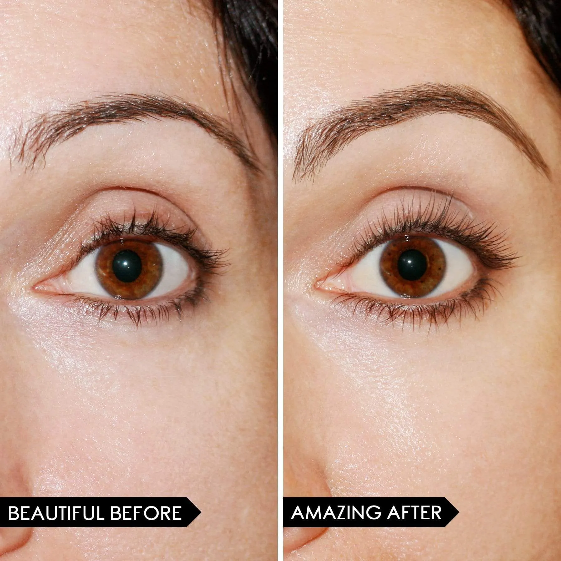 Lash Whip   4D Lash & Brow Serum Mini