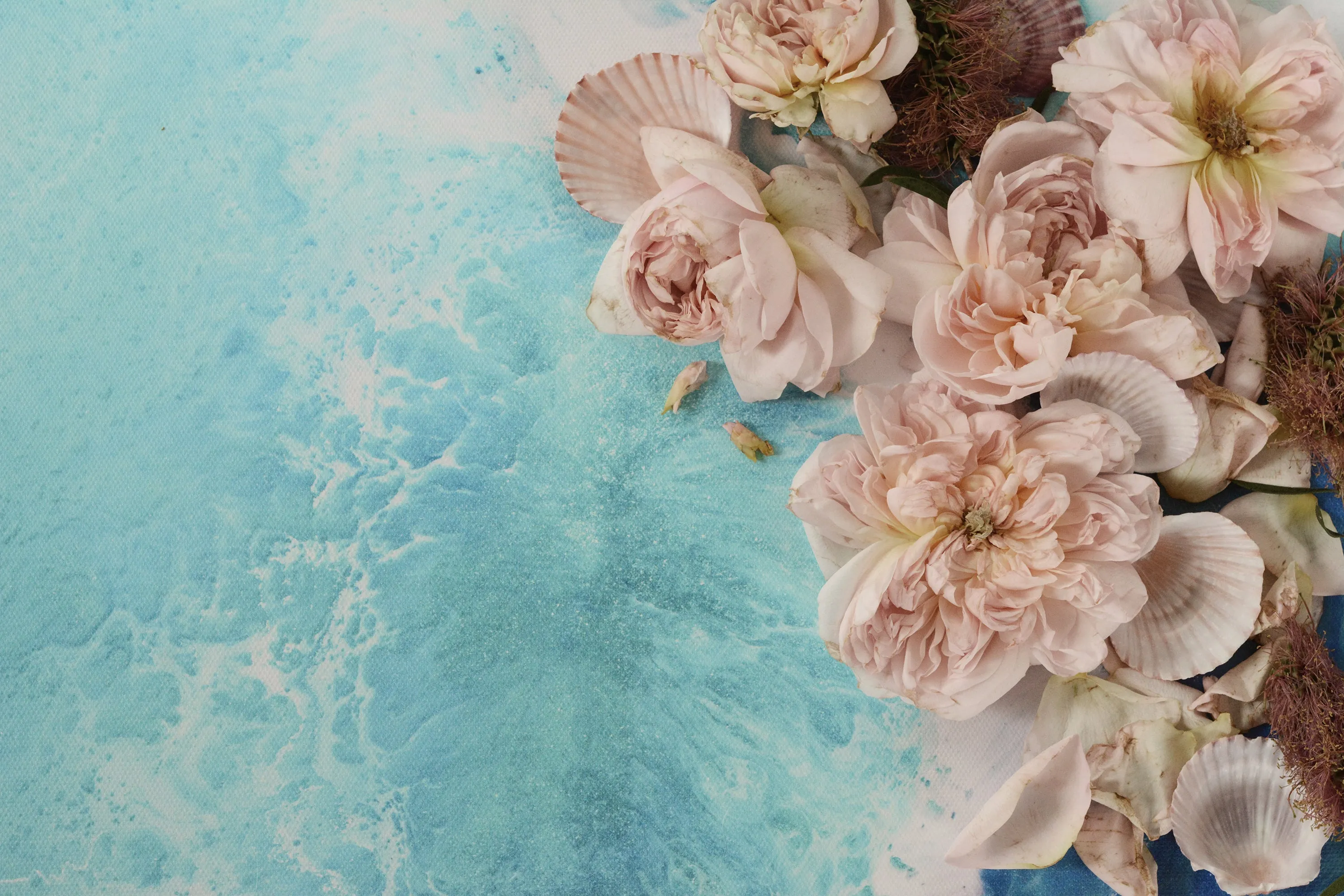 Rose art. Soft Pastel Rose Artwork. Limited Edition Print
