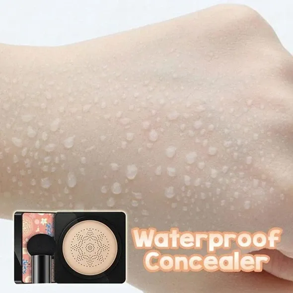 The Most Popular CC Cream Foundation